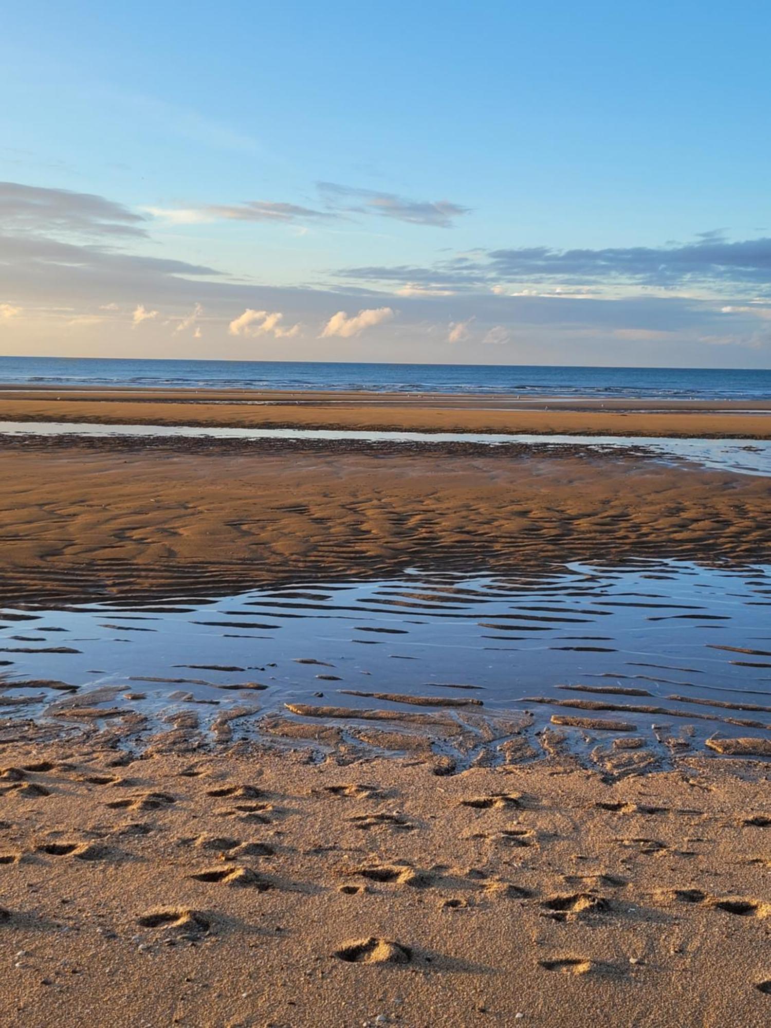 "Mon Evidence!" Magnifique Appartement Vue Mer Et Acces Direct A La Plage Вилле-сюр-Мер Экстерьер фото